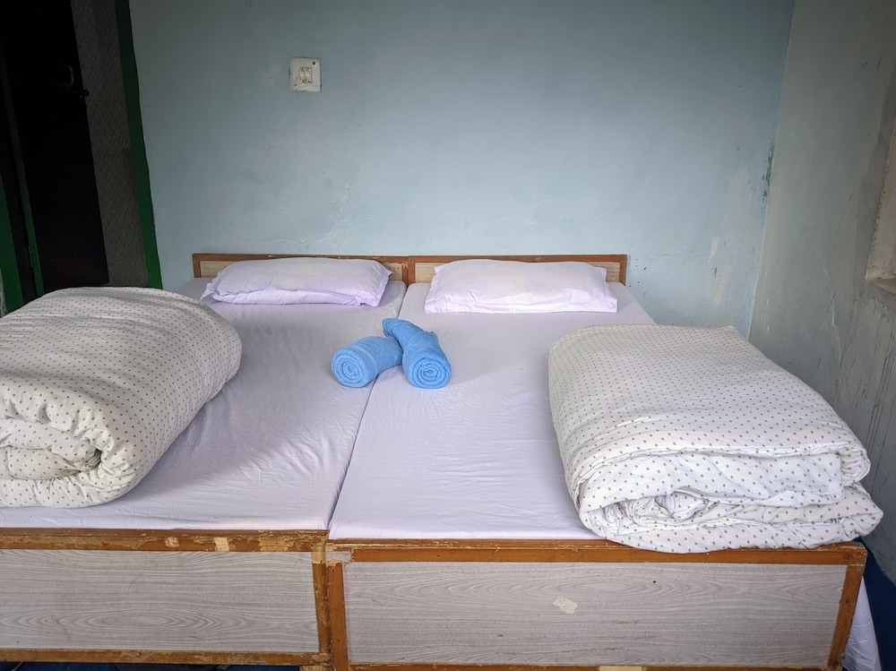 Falcon Homestay