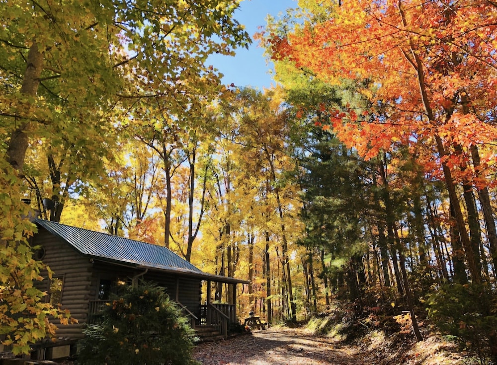 Eagles Nest 1 Bedroom Cabin