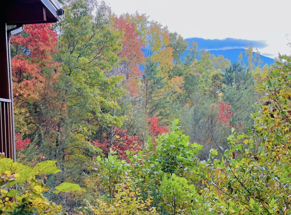 Falcon Crest 1 Bedroom Cabin