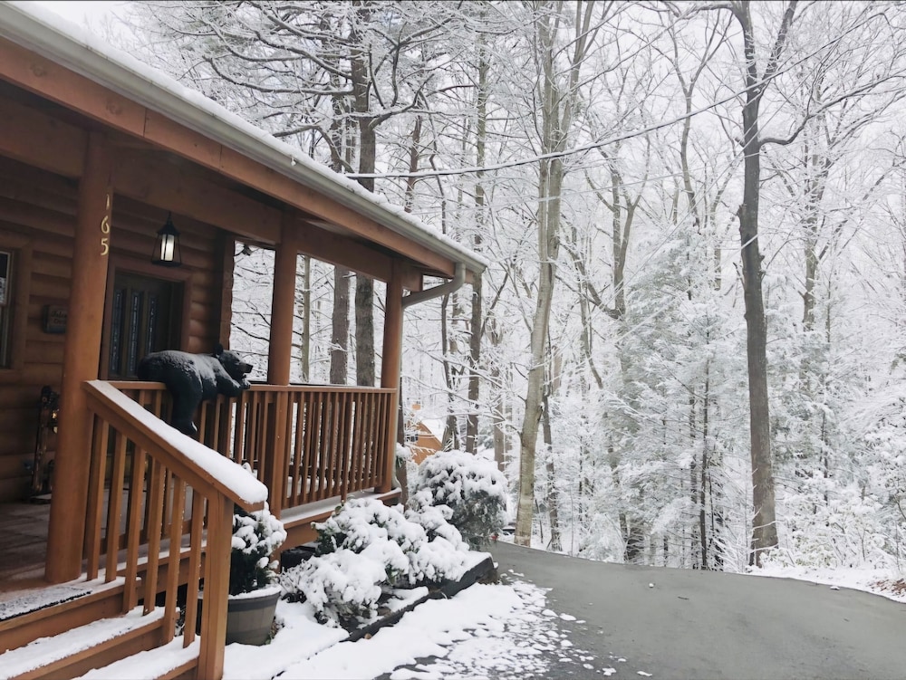 Eagles Nest 1 Bedroom Cabin