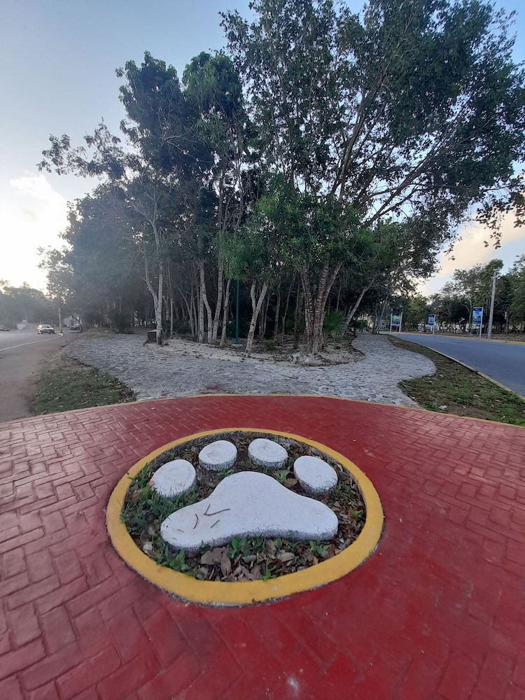 Devoted Hoestel in Cancun With Equipped Kitchen, Pool, Close to Beaches & More!
