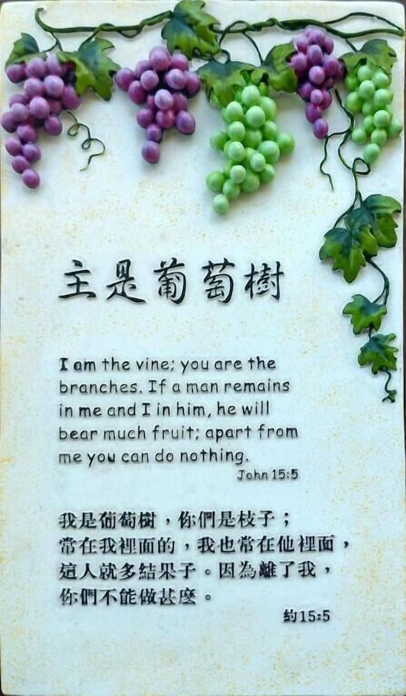 Photo 53
