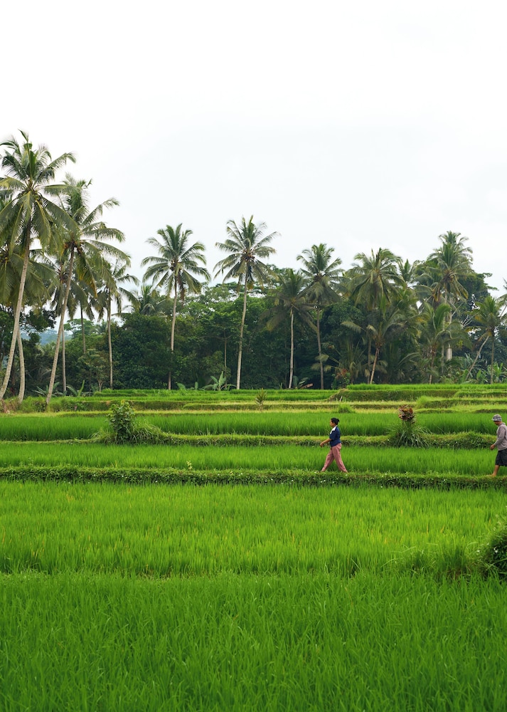 Hening Suite Ubud