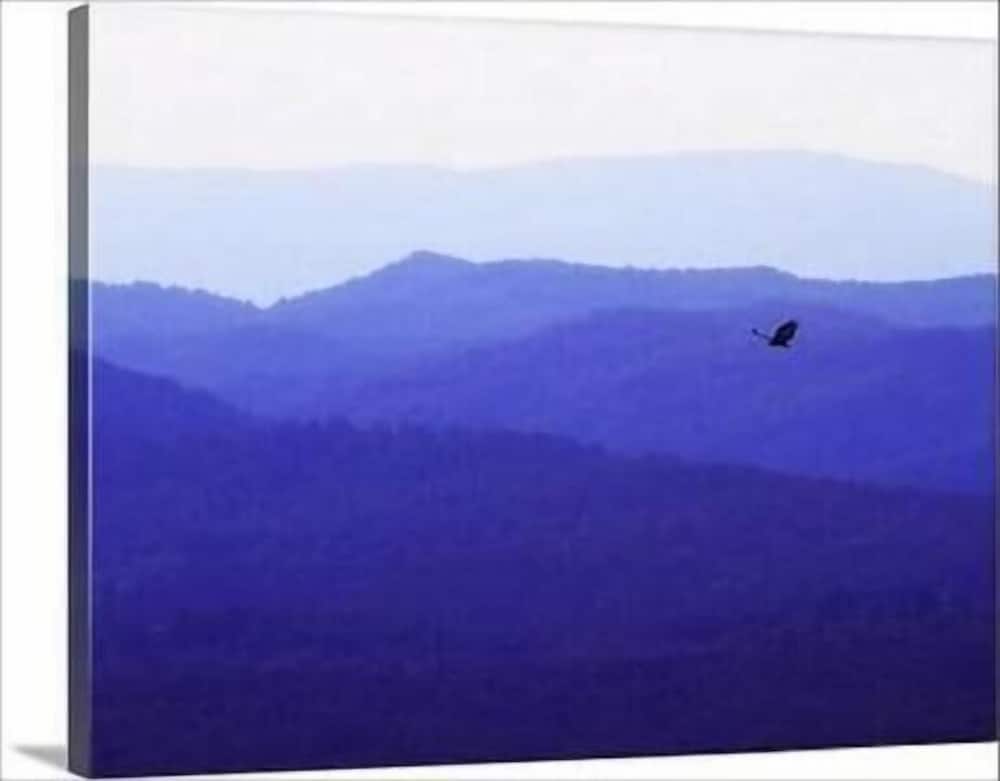 Photo 45