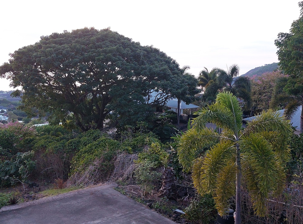 Kona Palace in Captain Cook