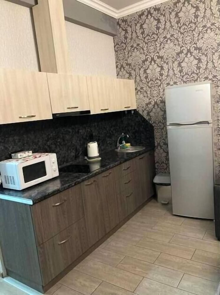 Aparment in the center Teryan street