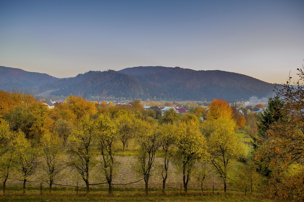 Bucovina Residence & SPA