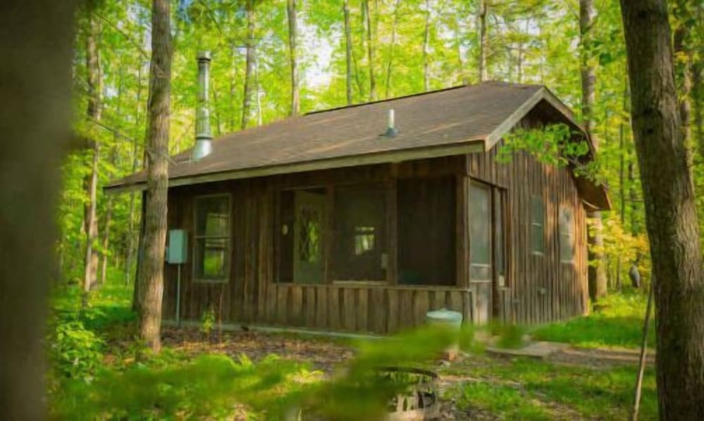 Shire In The Woods
