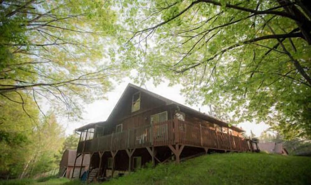 Shire In The Woods