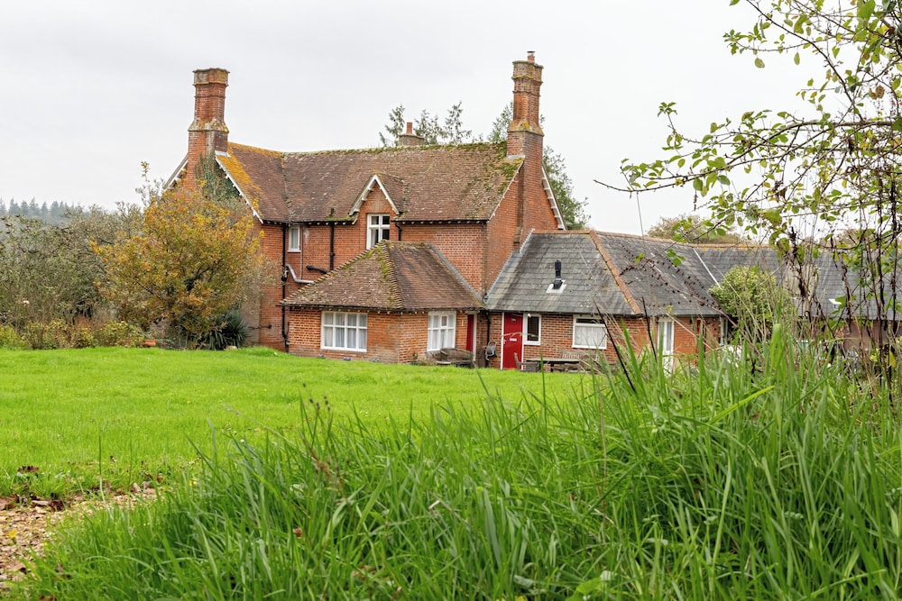 Tranquil Forest Retreat in Brockenhurst