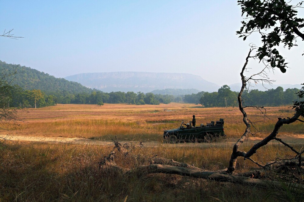 Samode Safari Lodge