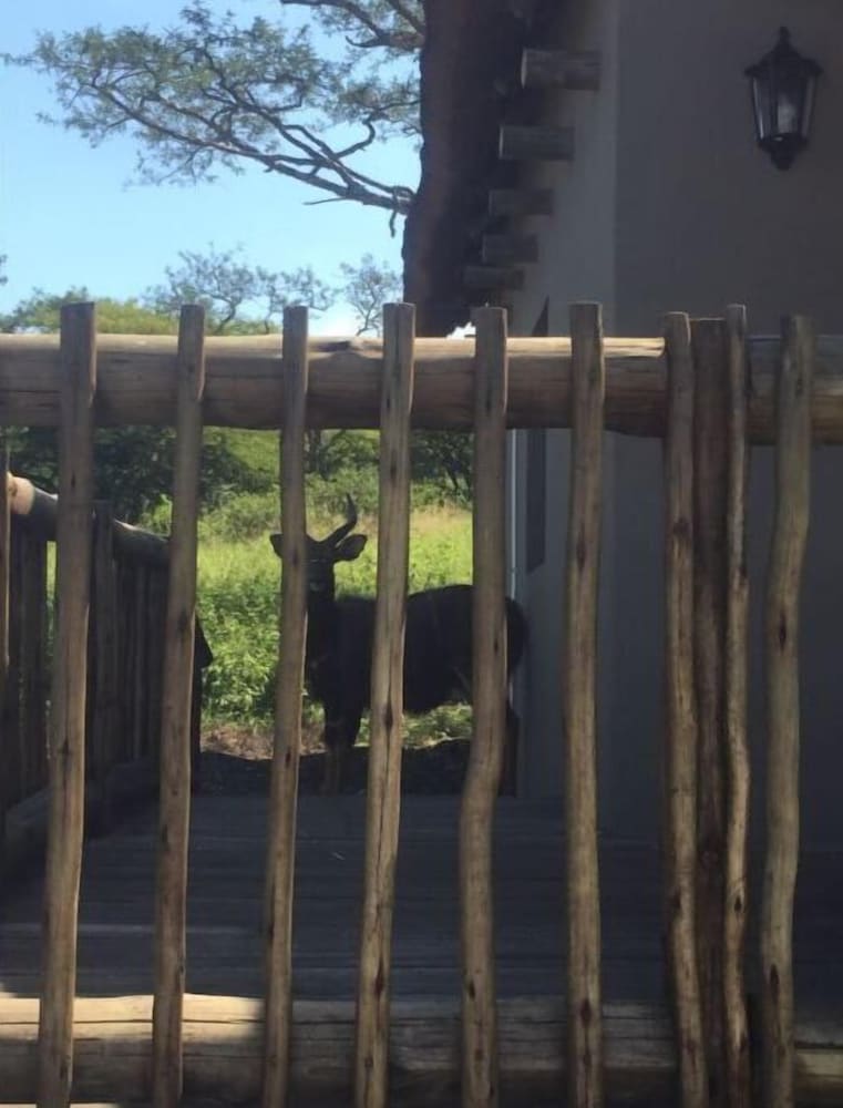 Ukuthula Lodge