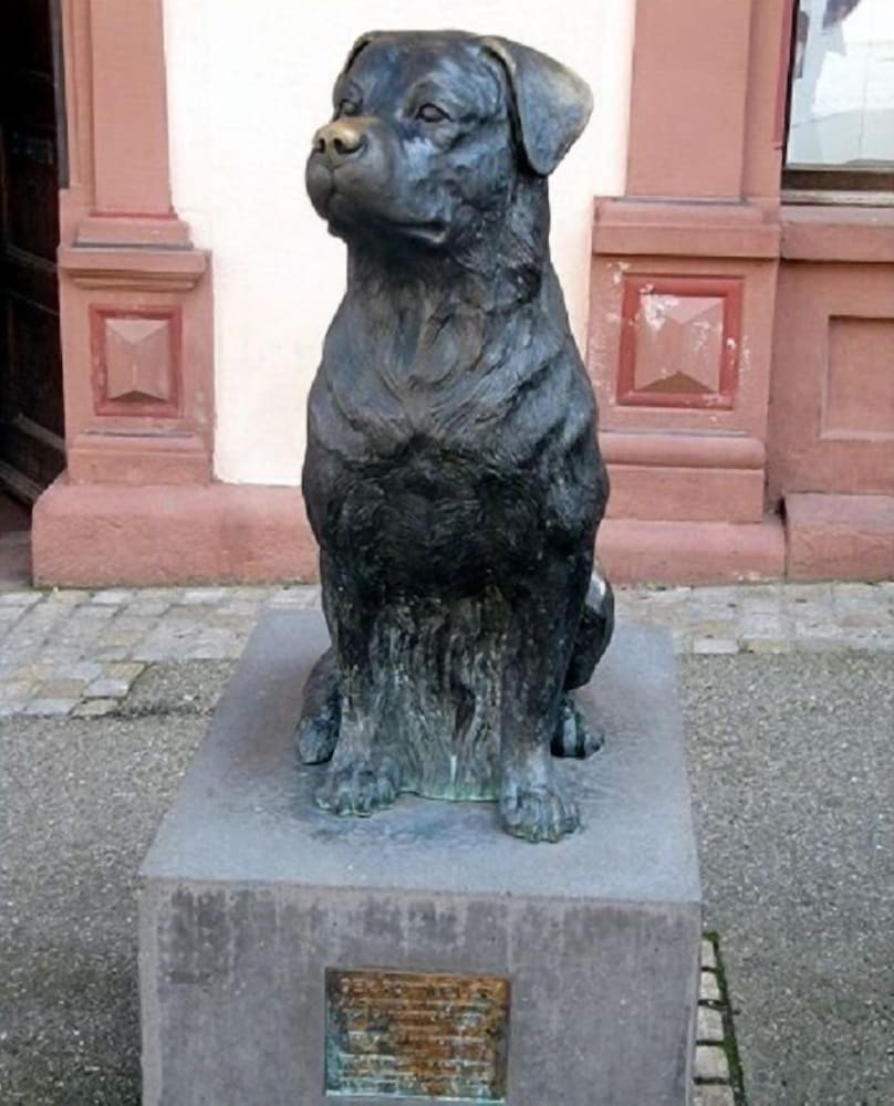 Bärenhof Rottweil view 5