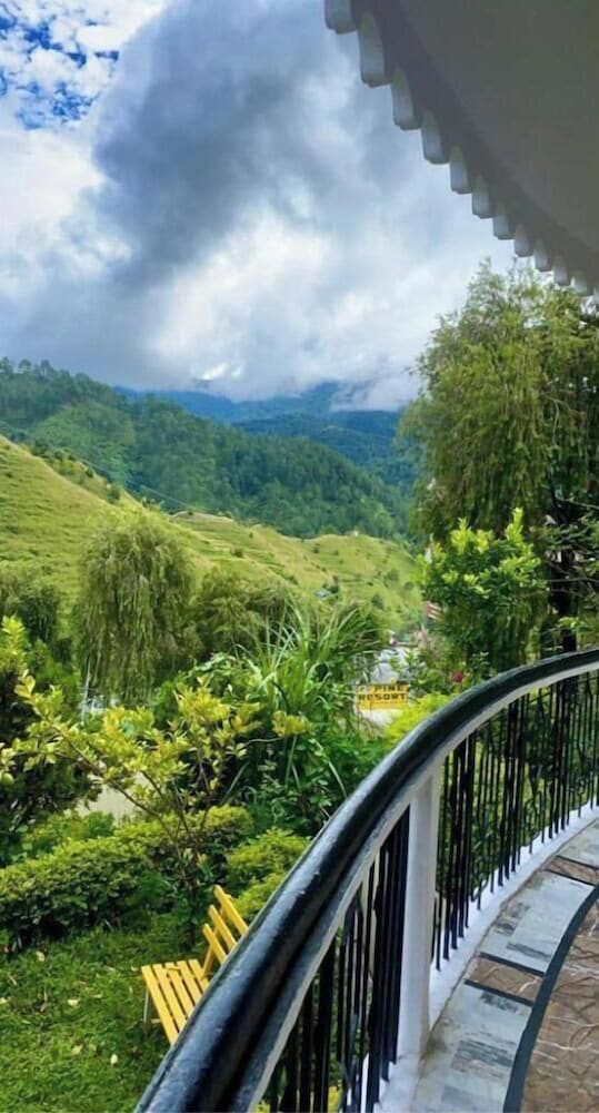 Pine Resort