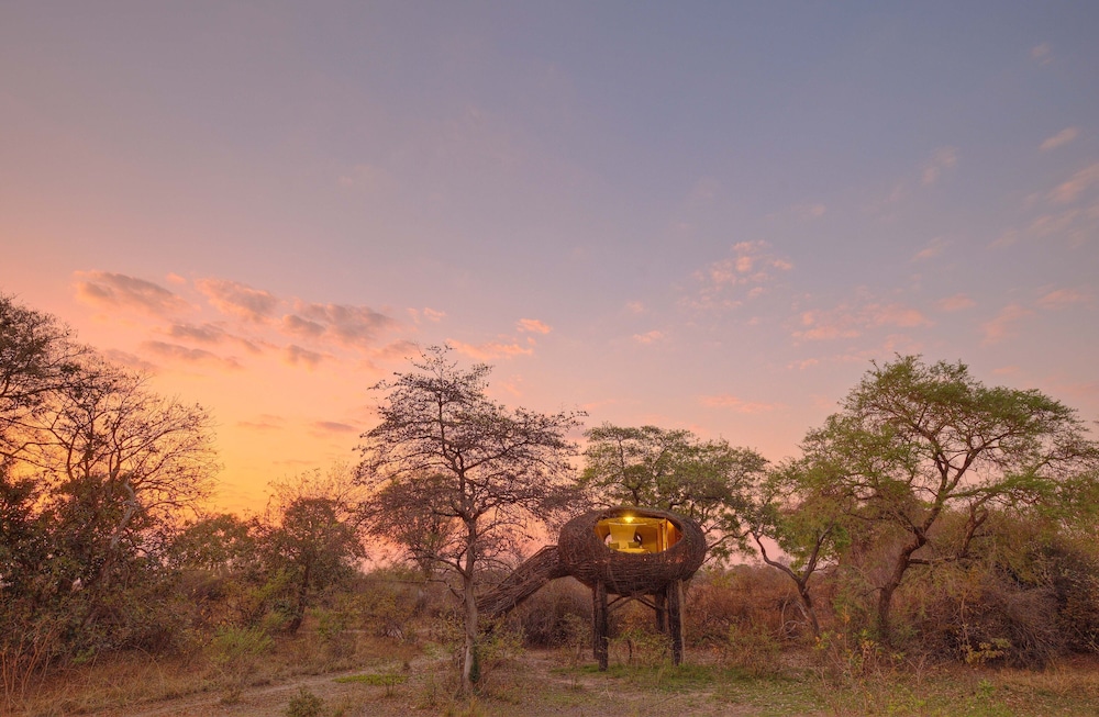 Chisa Busanga Camp view 4