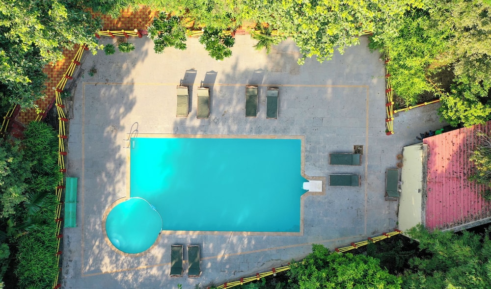 Tiger King Resort
