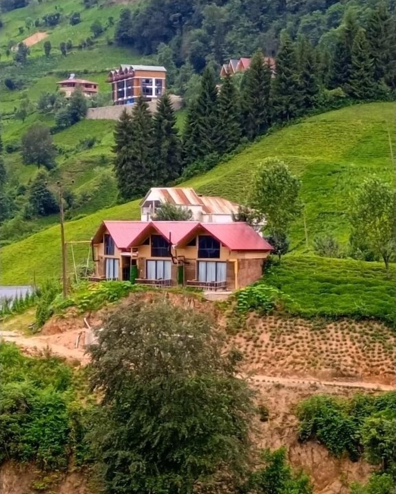 Kamelya Dag Evleri view 4
