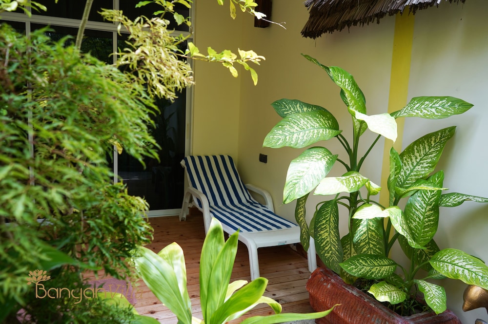 Banyan Villa Maldives photo 5