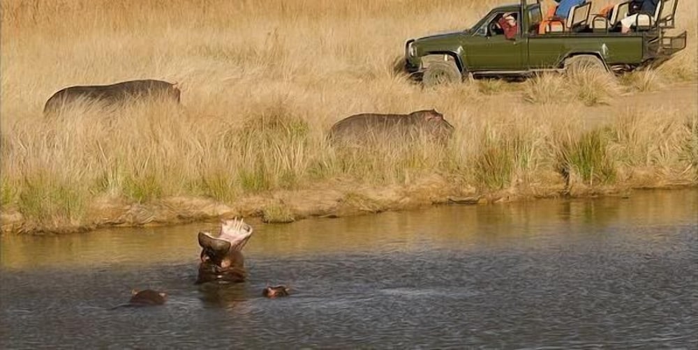 Kwaggashoek Game Ranch