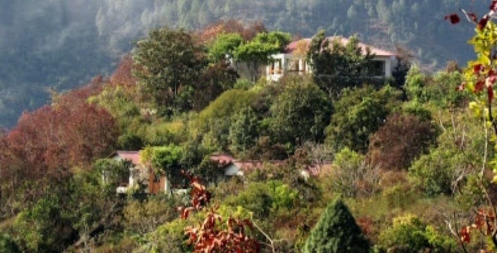 Auranya - The Himalayan jungle retreat view 3