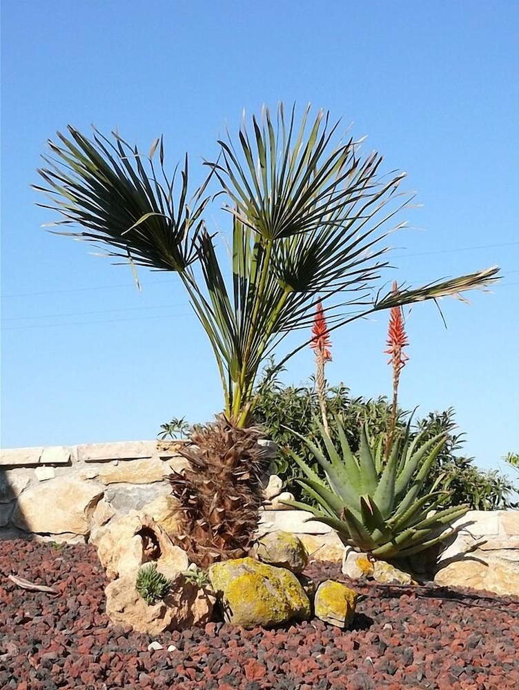 Agriturismo Agave