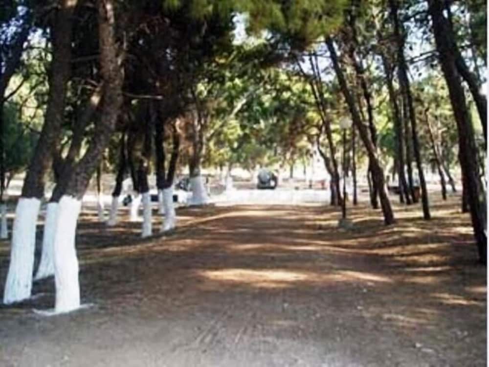 Ilias Apartments