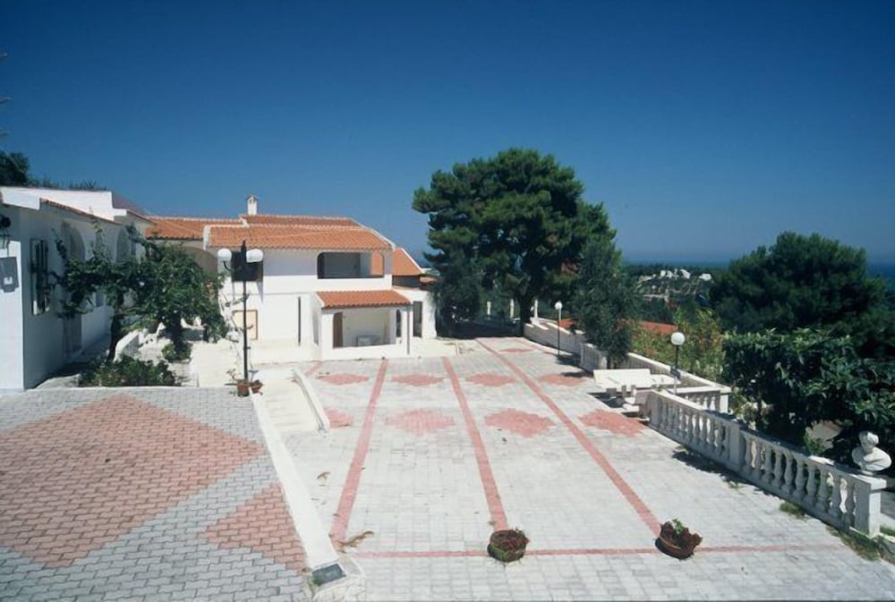Photo 41