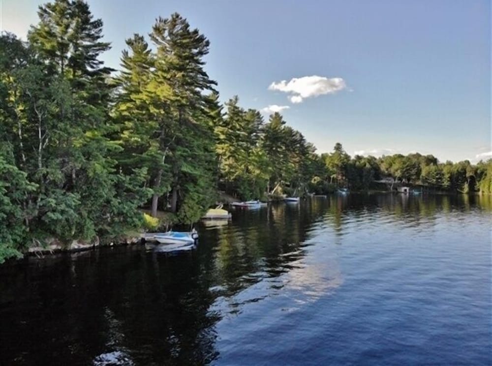 462 Paudash Lake 4 Bedroom Cottage