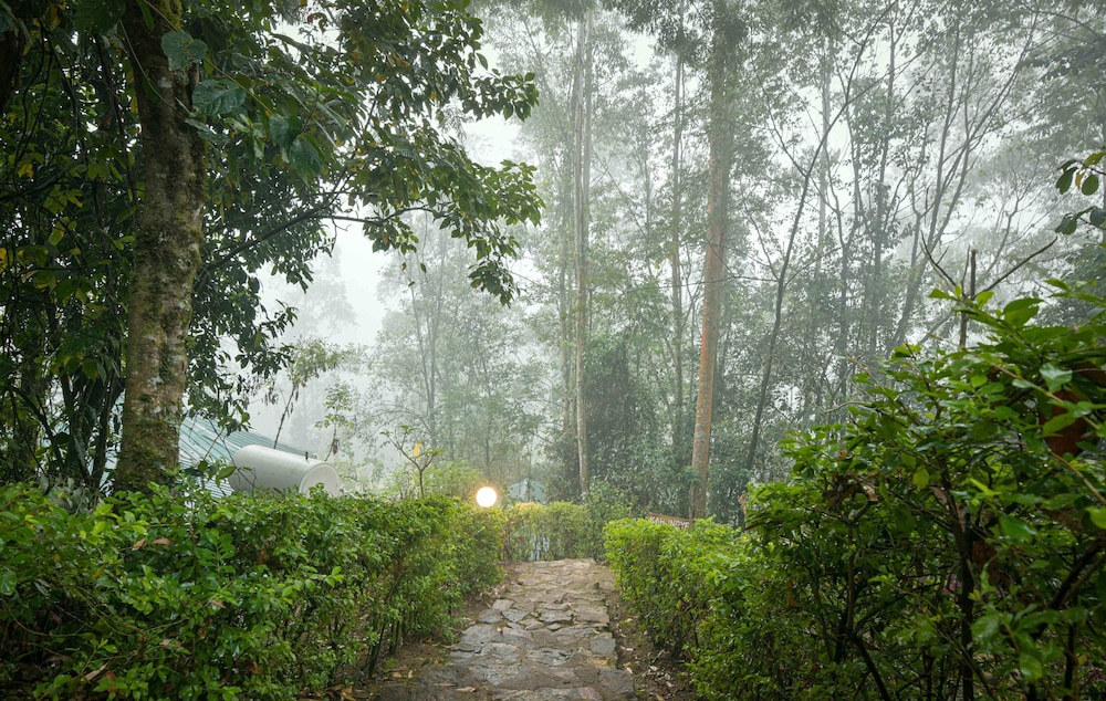 Gorilla Safari Lodge