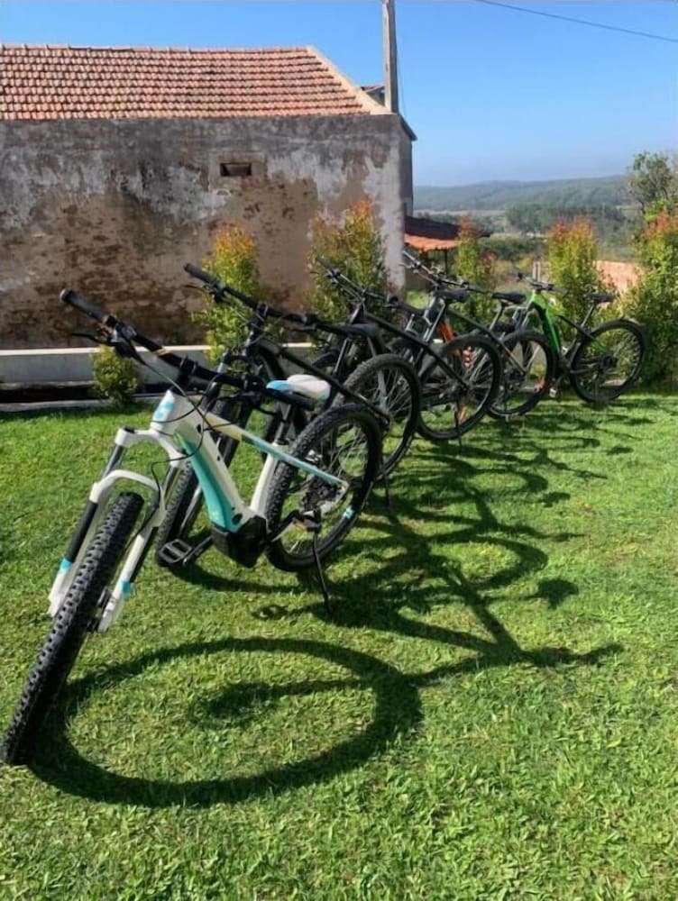 bedebike