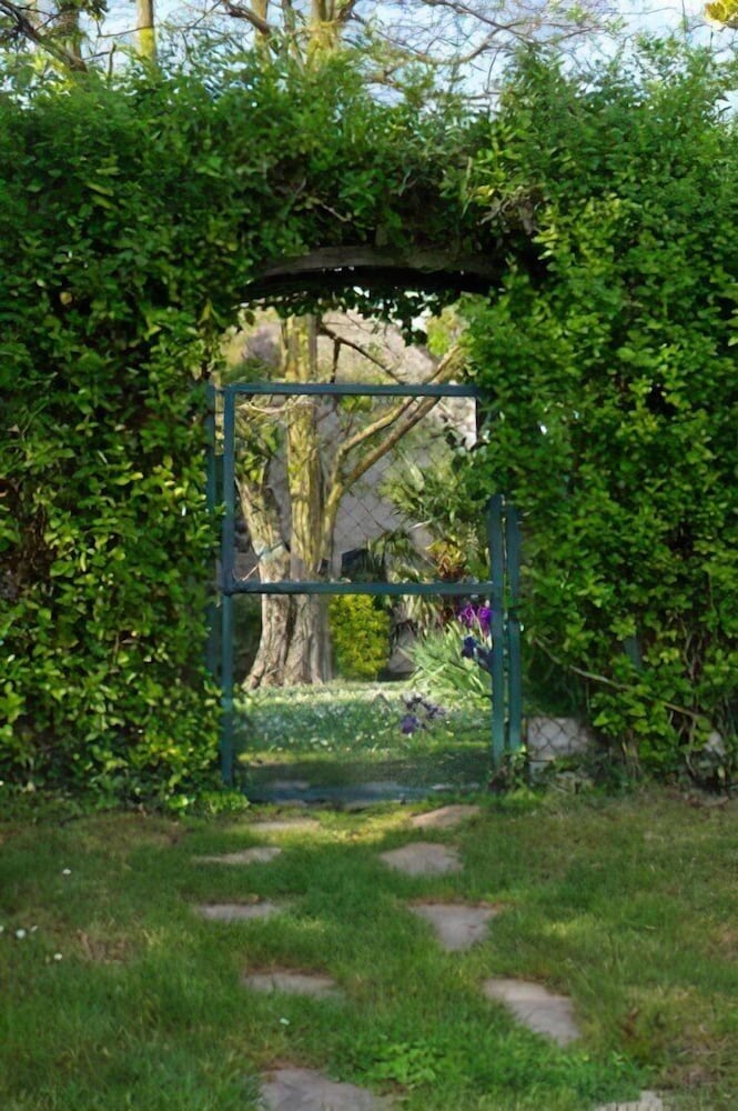 Photo 40