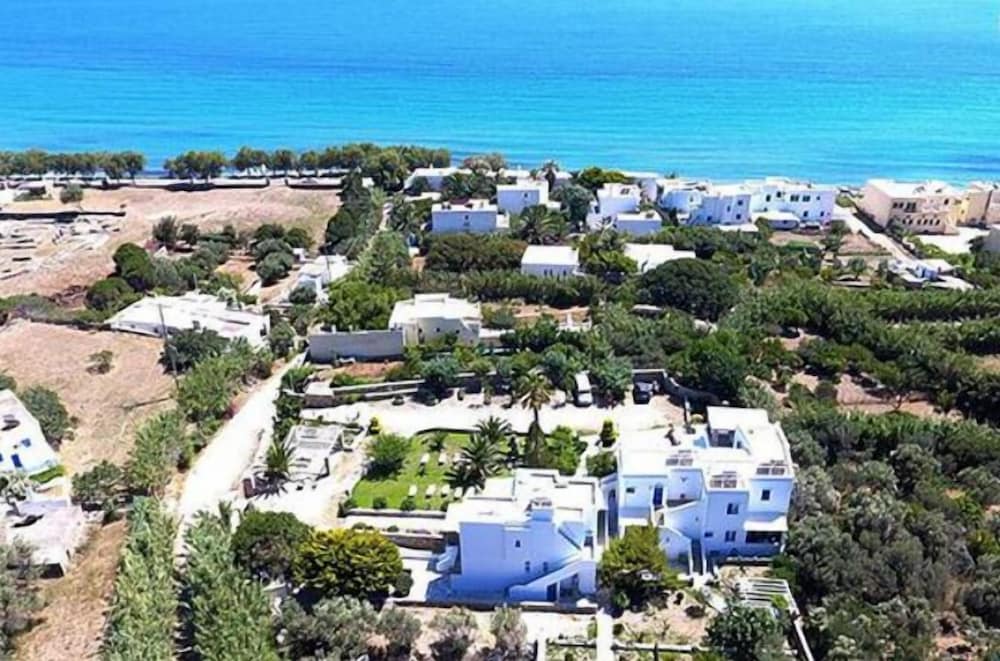 Didymes Studios