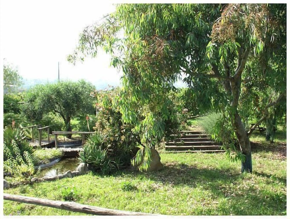 Photo 27