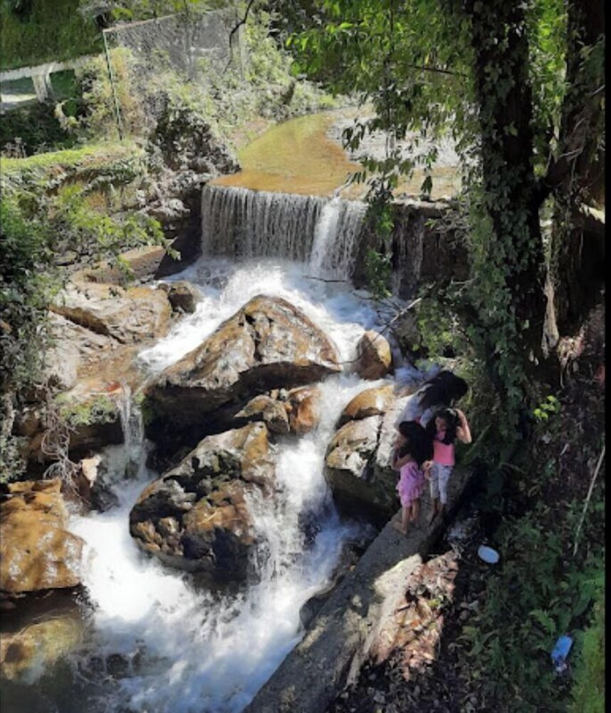 Hostel Abodes Trees of Heaven - Property Image 18