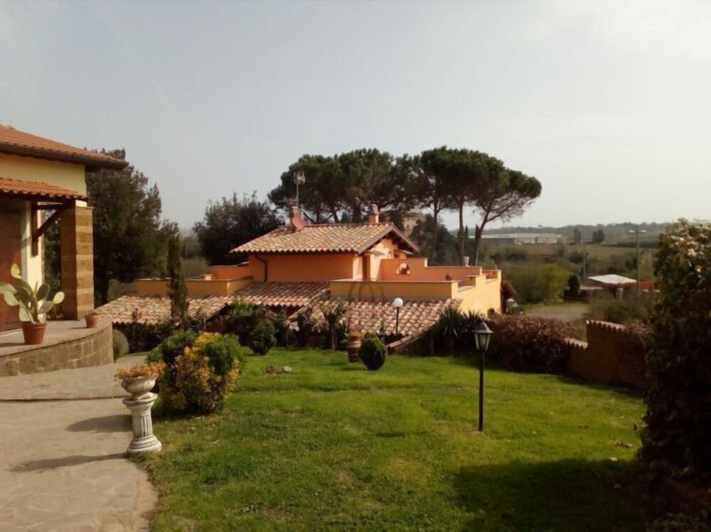 Photo 11