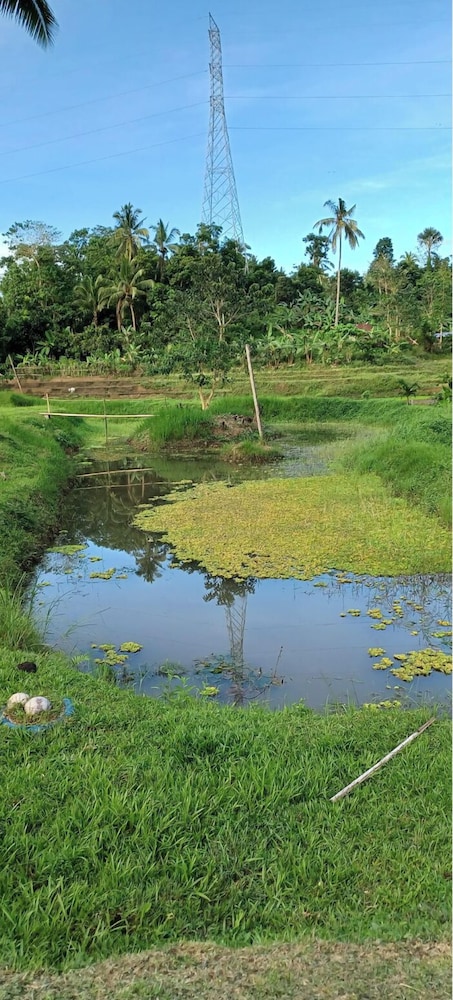 Asuneus Farm