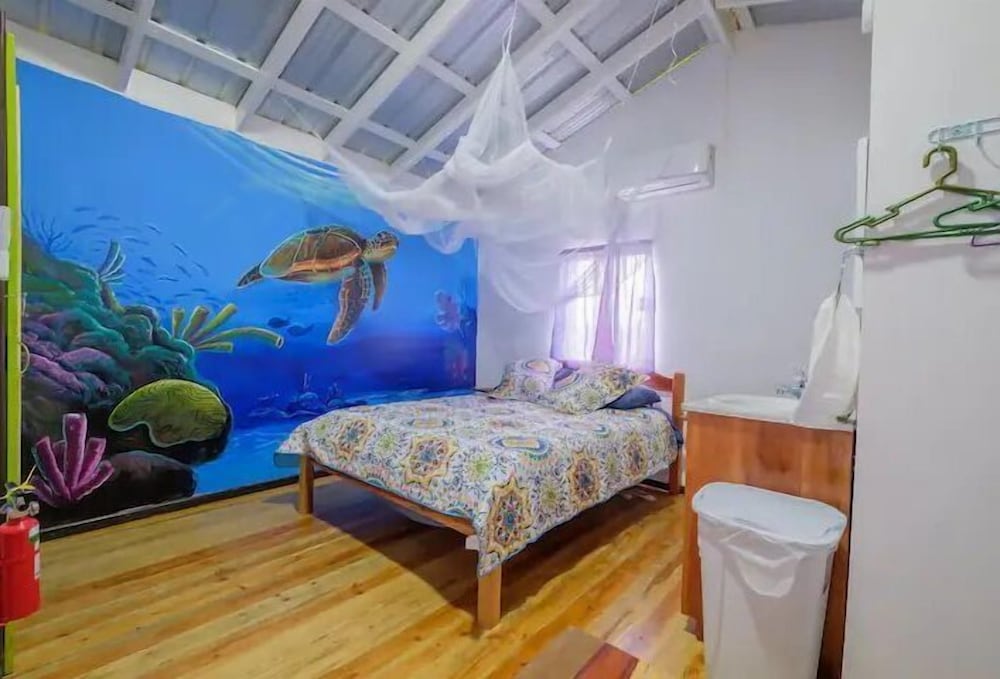 Mr. Ed's Adventures Belize