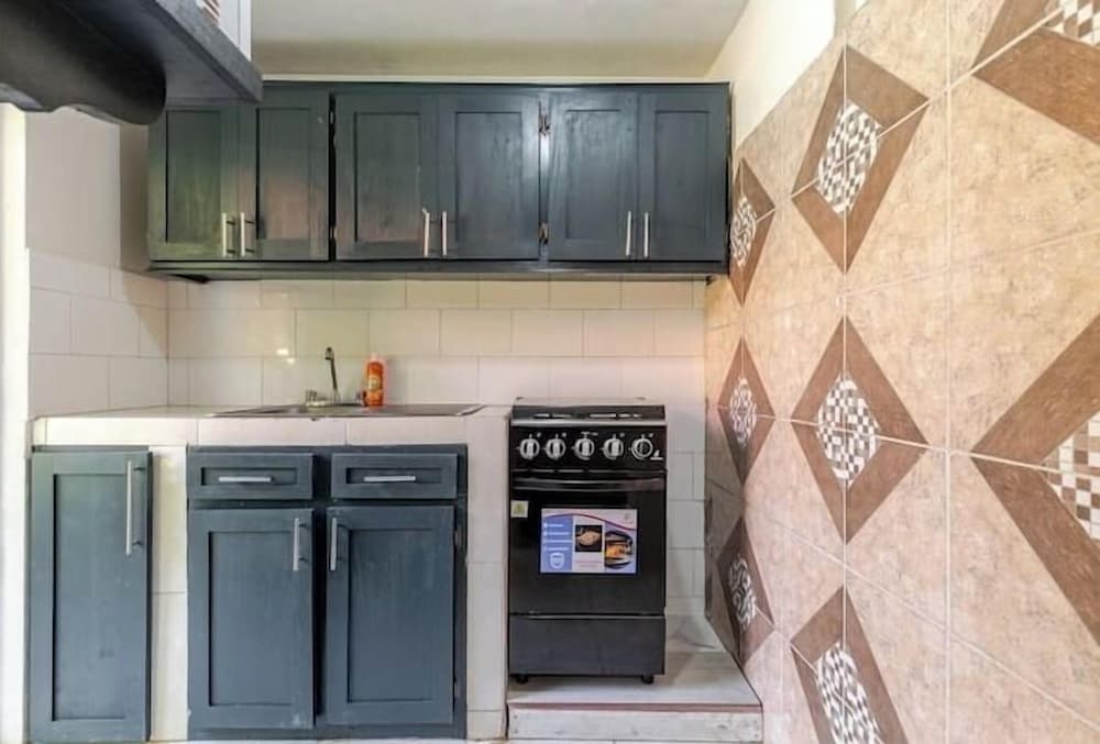 Insight Studio at Csompo Silver Manor view 5