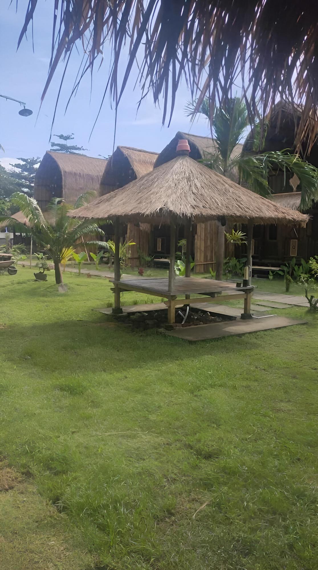 Photo 12