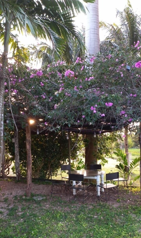 Photo 44