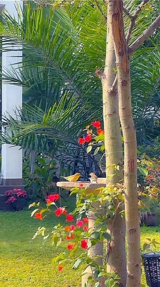AMALA VILLAS