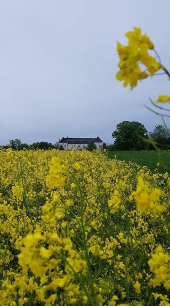 Château de Buchy