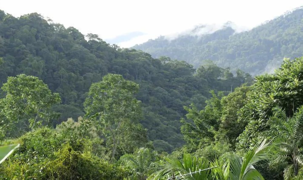 Pura Natura Lodge Arroyo