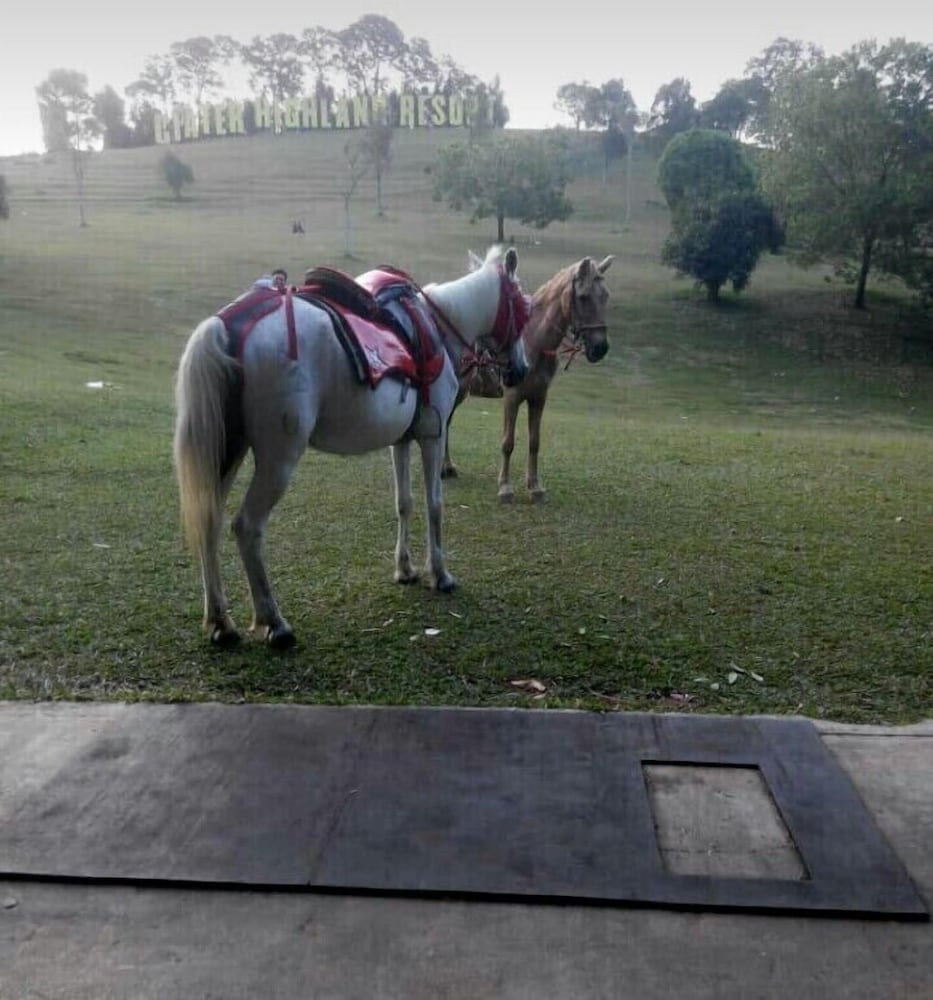 Villa Ciater Highland