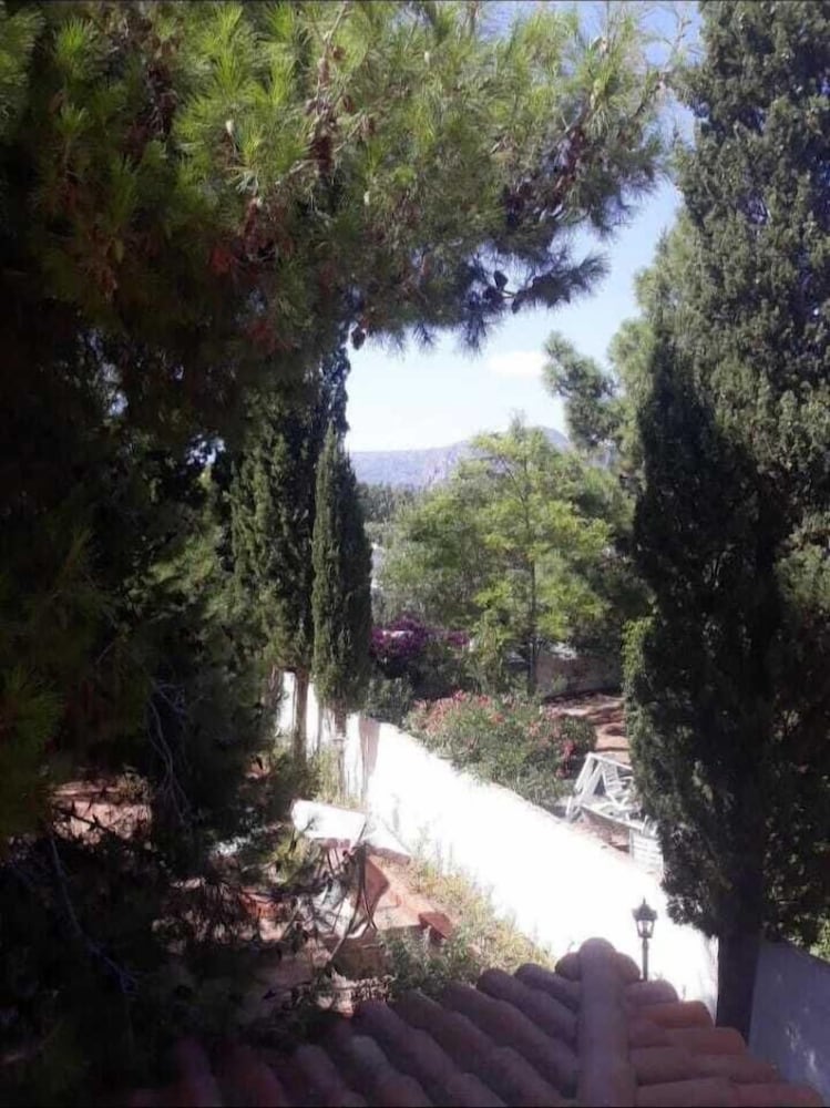 Photo 10