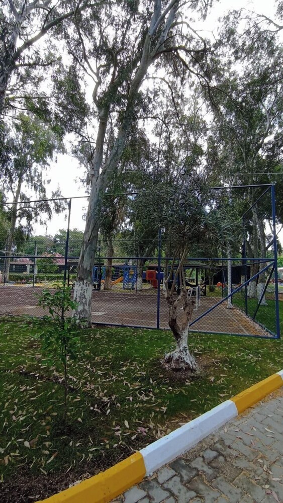 LEMON PARK HOUSE