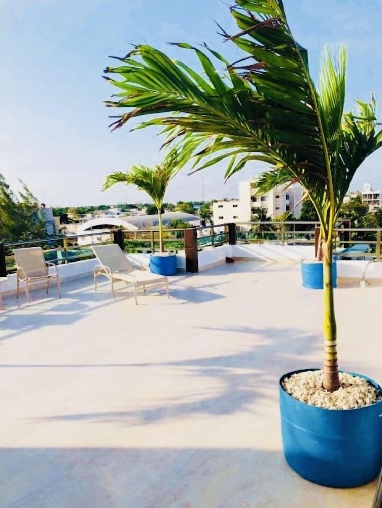 Condo Mar Arena