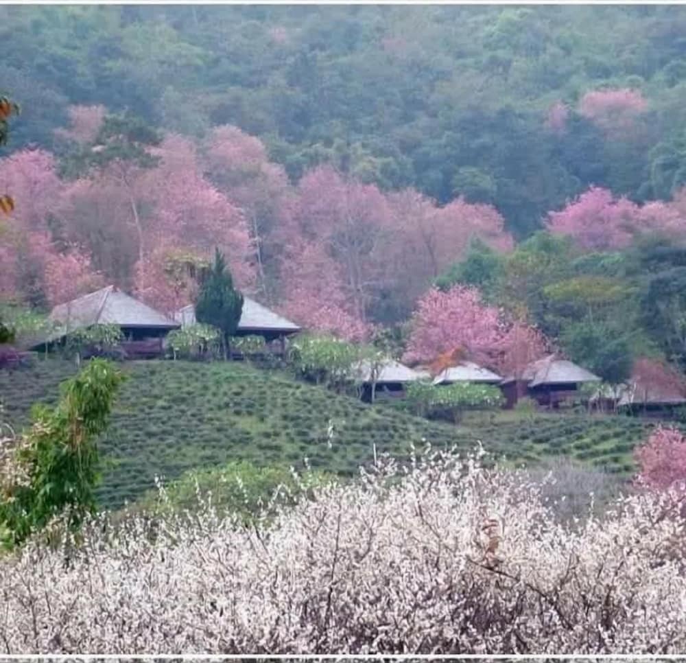 Shin Sane Guesthouse