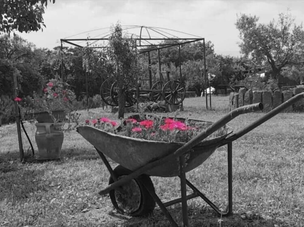 Photo 40