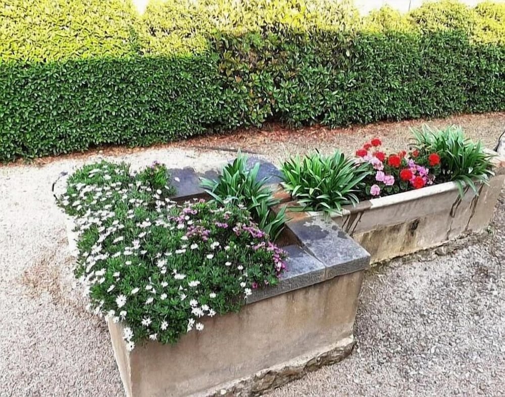 Agriturismo Boschetto di Montiano